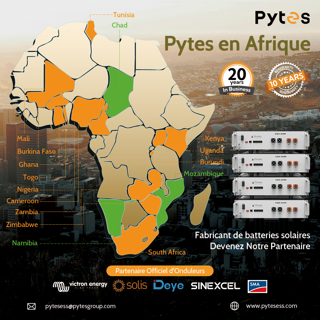 Partenariat PYTES Afrique : Ensemble pour un Avenir Vert